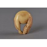 An early 19th Century Japanese Hornbill carved signed netsuke, modelled as a grazing horse, the