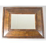 A 19th Century walnut framed hall mirror, of rectangular form, 51 cm x 40 cm