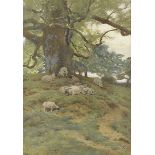 A 19th Century watercolour, sheep in wooded landscape, initialled JDW and dated 1876 lower left,