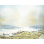 A contemporary oil on canvas, Rita Early, High Rock Coast Road Malahide, signed lower left, approx