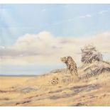 Spencer Hodge, English, (b 1943), oil on canvas, A pair of Cheetahs in the Serengeti, signed lower