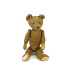 An early British burlap teddy bear 1910s, with black tin eyes, pronounced muzzle, black stitched