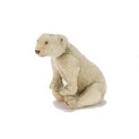 A rare Steiff polar bear circa 1910, with white mohair, black boot button eyes, black stitched nose,