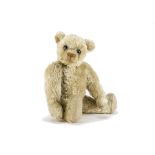 A rare Farnell white mohair teddy bear 1920s, with clear and black glass eyes with remains of