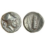 Lucania, Metapontum (c.330 BC), AR Stater, 7.77g, helmeted head of Leukippos right, lion's head beh