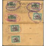 The Oryx Collection of South West Africa: Tribal Tax Part I Ondonga Tribe Registration card franked