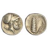 Lucania. Metapontion. AR Stater, ca. 340-330 BC. Magistrate: Ami--. 7.78 gms. Head of Leukippos rig