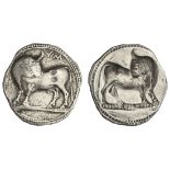 Lucania. Sybaris. AR Stater, ca. 550-510 BC. 8.13 gms. Bull standing left, head reverted, YM above,