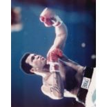 MUHAMMAD ALI AUTOGRAPH A 10" X 8" colour photograph showing Ali throwing a punch which is signed and