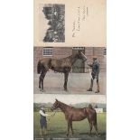 HORSERACING Three postcards: b/w Epsom: Ashley Road, Derby Day datestamped 1901, colour Flying Fox