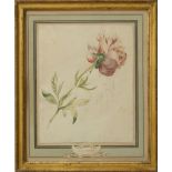 ATTRIBUTED TO GEORGIUS JACOBUS JOHANNES VAN OS (1782-1861): PEONY; AND SPRAY OF FLOWERS