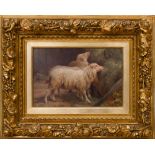 JOHANNES ADAM OERTEL (1823-1909): SHEEP