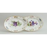 PAIR OF PARIS PORCELAIN BOTANICAL PLATTERS