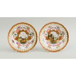 PAIR OF MEISSEN STYLE PORCELAIN PLATES