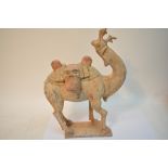 A Tang dynasty figure of a camel