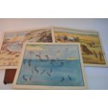 A folio of prints Blyton Nature