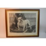 A large framed 19th Maud Earl print of the bulldog