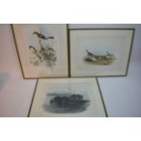 A set of five framed original coloured prints by J