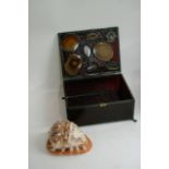 A carved cameo conch shell and a red glass box ins