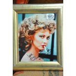 A mounted and framed signed Olivia Newton John pho