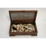 A box containing old clay pipes