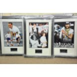 Three framed and glazed signed photos of Tottenham