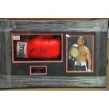 A framed boxing montage containing a signed Roy Jo