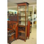 An Edwardian Mahogany double door display cabinet