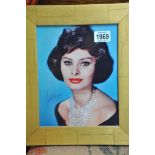 A mounted and framed signed Sophia Loren photo