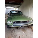 Ford Mustang - Lovely 6 cylinder Mustang with full