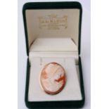 A 9ct Gold Mounted Cameo Brooch
