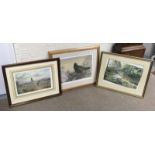 Two large framed bird prints, one a signed limited