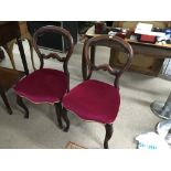 A pair of Victorian ballon back dining chairs with