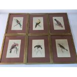 A set of six framed and glazed hand tinted prints