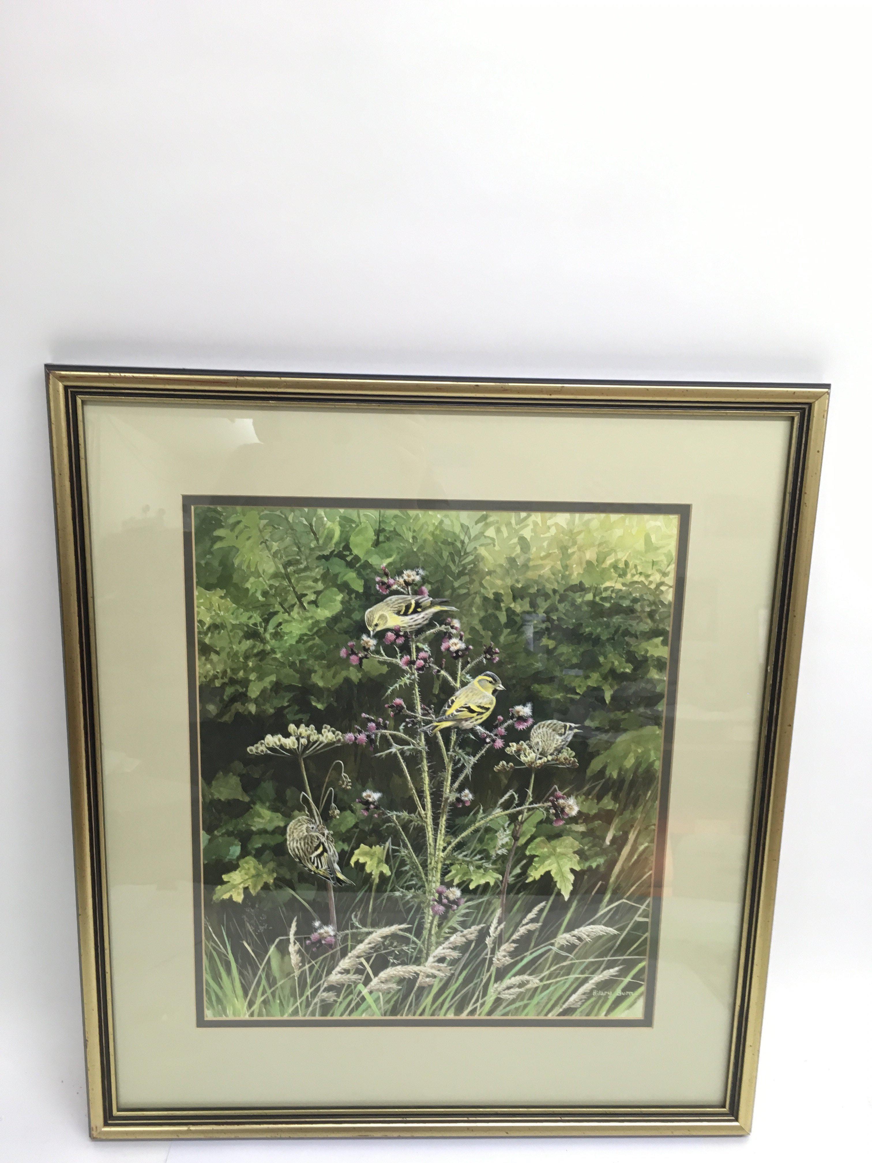 A Hilary Burn signed watercolour painting of goldf