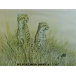 David Parry signed limited edition print 'Pair of Cheetah' 252/850 (53x64cm) together with a