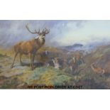 Archibald Tharburn four limited edition wildlife prints in gilt frame (largest 39x61cm)