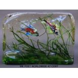 Gino Cenedese, Murano glass aquarium block with two fish swimming amongst seaweed 24x17x4.