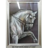 Danielle Allen pastel of Lipizzaner horse,