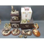 A collection of Border Fine Arts figures, some boxed includes Endangered Species, otters,