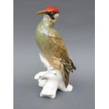 Karl Ens model of a green woodpecker