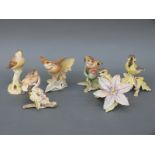 A set of six Royal Worcester bird figures from the 'Fledgling' series