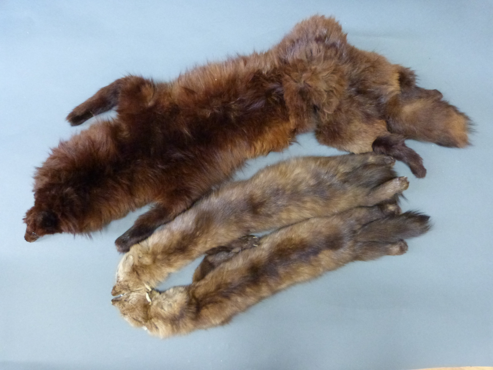 Two taxidermy fur stoles