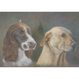 Andrew Quelch framed pastel of Springer Spaniel and Labrador dogs, monogrammed lower right,