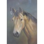 Andrew Quelch framed pastel of a horse monogrammed lower right, 35cm x 24cm.