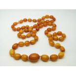 An amber necklace of 59 graduated ovoid egg yolk coloured beads, the largest approximately 18x15mm,