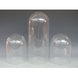 Three glass domes, tallest 50cm x 20cm diameter,