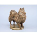A bronze or brass Pomeranian dog figure on plinth,