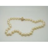 A single strand pearl necklace,