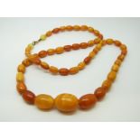 An amber necklace of 52 graduated ovoid egg yolk coloured beads, the largest approximately 20x15mm,